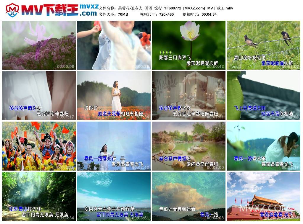 芙蓉花-追春光_国语_流行_YF600772